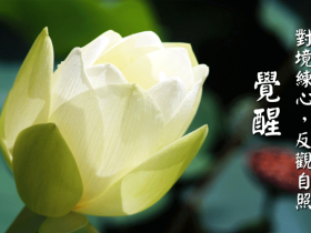 前世婆婆出现在梦中,托梦求助念!一心念佛,求愿往生!(转发功德无量)