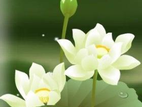 行善改命要有恒心、耐心,方有大验