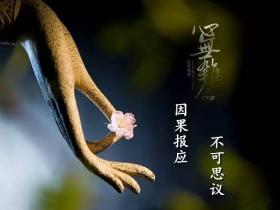 积德无需人见,行善自有天知
