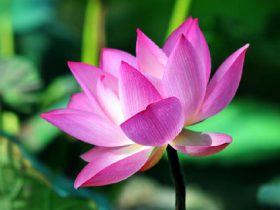 戒烟酒戒邪婬五年的真实感受——经典推荐