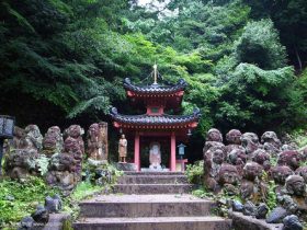 戒烟酒戒邪婬五年的真实感受——经典推荐