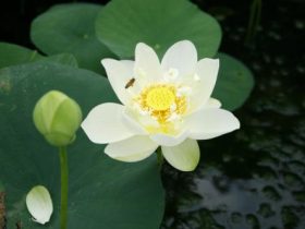 《从地狱到人间》--我成功戒婬的心路历程