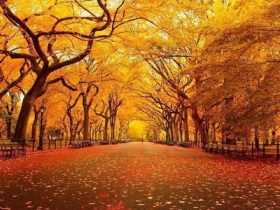 邪婬让我丢了…...