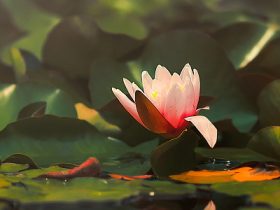 香港火灾中的奇迹：被困31楼的陈伯念“南无观世音菩萨”20小时奇迹生还！