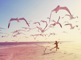 探查小夫妻不孕不育的原因，结果让人深思