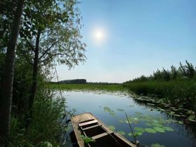 邪婬恶果与中医理论实践