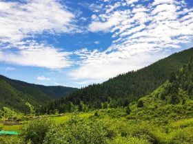 邪婬遭到勒索，由政府骨干降到物业管理员