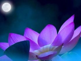 邪婬的28种果报