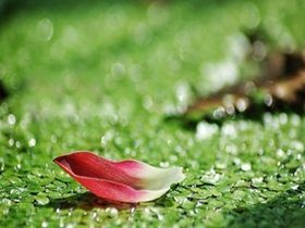 邪婬为什么严重的折福折禄又折寿？