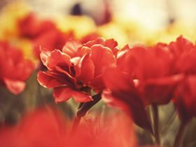 邪婬的现世报应之妻不贞良