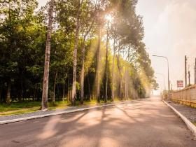 戒烟酒戒邪婬五年的真实感受——经典推荐