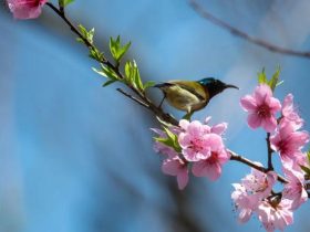 婚内出轨，感召恶报，罹患尿毒症