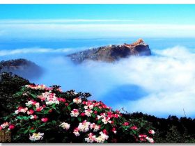 现代因果实录：利人就是利己