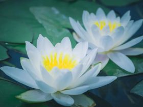 还敢手婬吗？导尿管伺候！