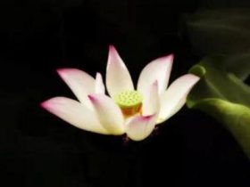 整个高二活在压抑恐惧中