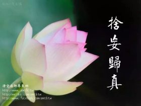 戒除邪婬 | 可常诵以下佛菩萨圣号