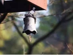 积大阴德，改造命运