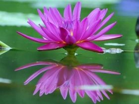 还沉迷言情小说？有人得精分了