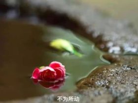 戒色134天的心得体会，有了考本一的希望