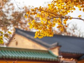 戒色233天毁容的逆袭，皮肤变白变好，眼睛亮而有神