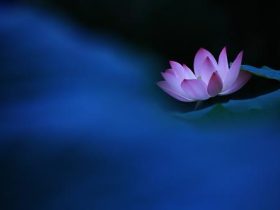 曾仕强经典语录