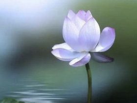 邪婬让我妇科病缠身诸事不顺