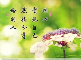 乌龟救命的故事