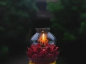 一个邪婬女子的报应