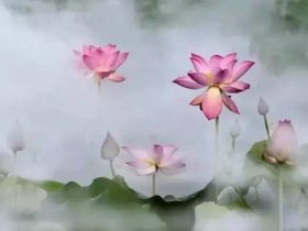 念诵“南无药师琉璃光如来”的功德利益