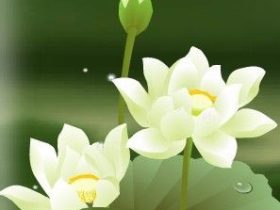 邪婬后得怪病，写忏悔后梦红衣人说你这肿没有事…