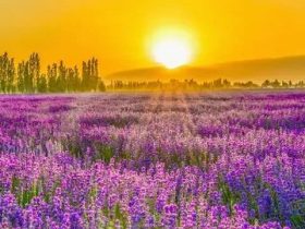 一位手婬25年中年人的发露忏悔