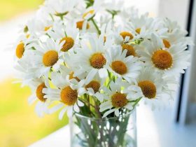 女戒友投稿：从年薪百万到失业