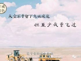 放生善报：第二章放生愈疾 10.神雀还救赵履干　