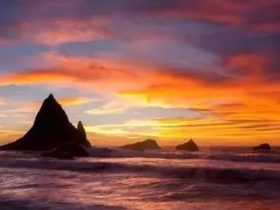 我还有明天吗？手婬堕胎的惨烈恶报