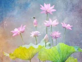 带朴素老婆一起看黄色小说，老婆出轨