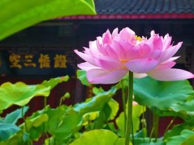 戒烟酒戒邪婬五年的真实感受——经典推荐