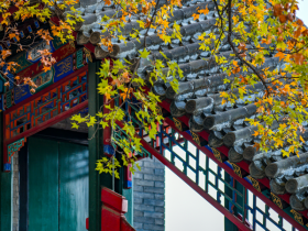 戒烟酒戒邪婬五年的真实感受——经典推荐