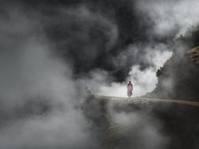 香港火灾中的奇迹：被困31楼的陈伯念“南无观世音菩萨”20小时奇迹生还！