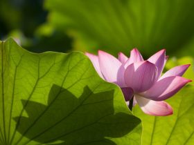 懂因果的人，从不占便宜！