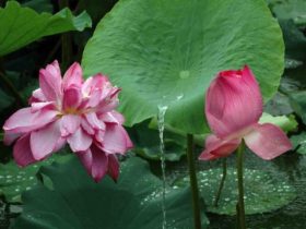 高三戒者的感悟，于高考百日之际！