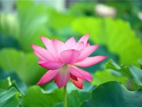 邪婬为什么严重的折福折禄又折寿？